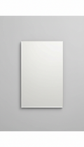 Linea Rectangle Mirror